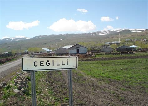 Cegilli Halı ve Koltuk Yıkama