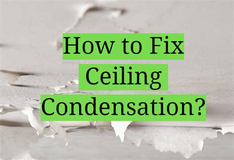 Ceiling Condensation and How to Fix It - Home Reference