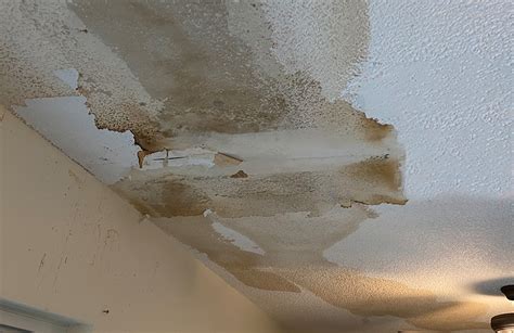 Ceiling leak home insurance. Things To Know About Ceiling leak home insurance. 