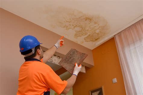 In general, ceiling leaks and water damage will be covered if they’re due to: Roof leaks caused by a covered peril: A peril is what causes damage, like hail or a tree falling. Covered.... 