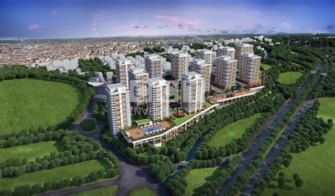 codini.rgarabwor.edu.pl. 