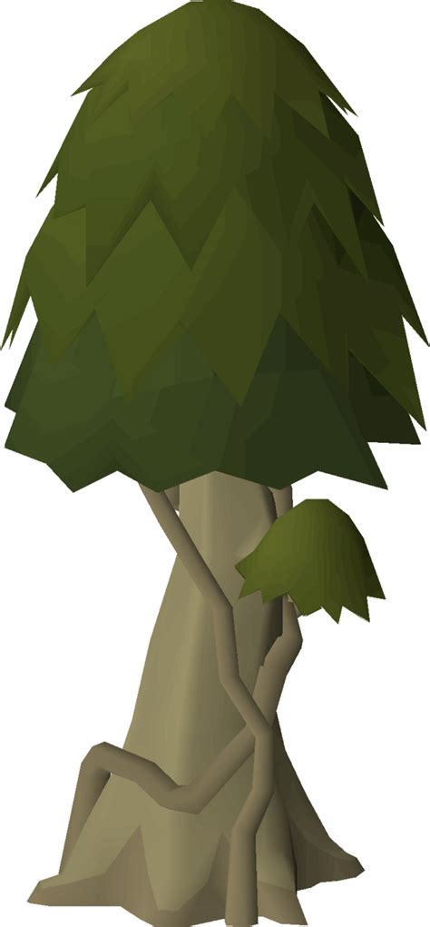Yew trees are Farming plants grown at level 60 Farming. A yew tree is grown by planting a yew seed in a filled plant pot. A gardening trowel is needed to plant the seed, then it must be watered.. 