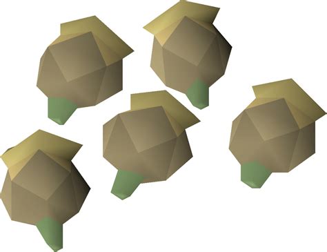 Celastrus seeds are a type of seed requiring level 85 Farming to plant, and can only be planted in the Celastrus patch within the third tier of the Farming Guild. They can be obtained from bird nests, monster drops, Pest Control, the Hespori, the brimstone chest, Larran's big chest or by completing farming contracts.. 