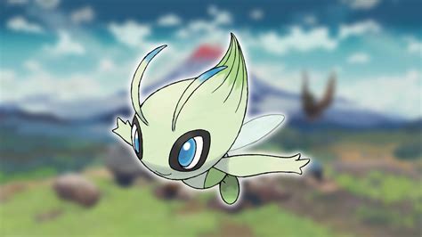 Celebi Halı ve Koltuk Yıkama