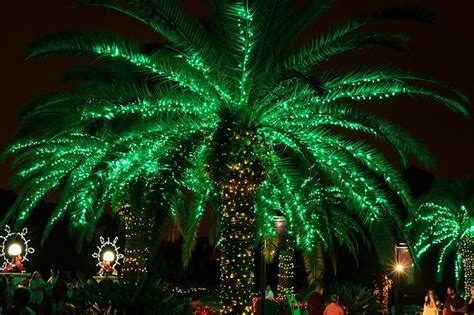 Celebrate Christmas on Fort Myers Beach