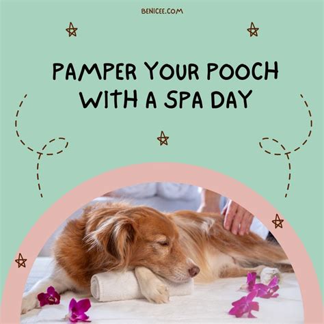 Celebrate National Dog Day with your furry friend in Miami with party and pamper