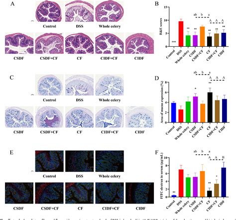 Celery soluble dietary fiber antagonizes flavonoids …