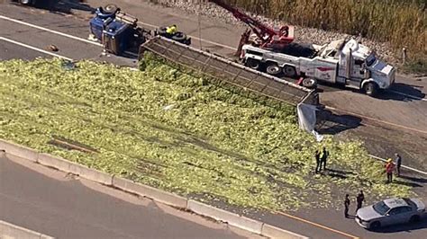 Celery spills all over Hwy. 400 after truck rollover in York Region
