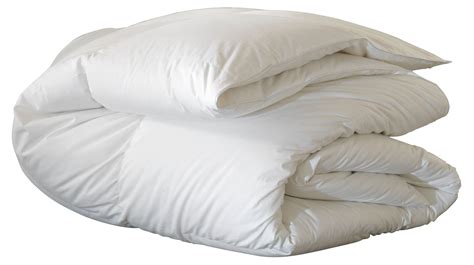 Celesta Medium-Weight Comforter - White - Eastern Accents - King