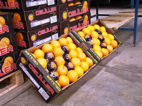 Celiller Halı ve Koltuk Yıkama