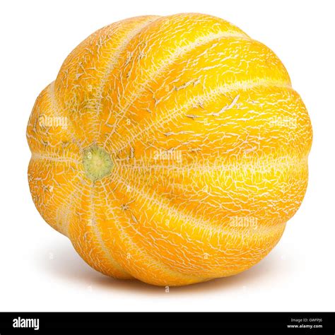 Celin Melon Onlyfans Leak