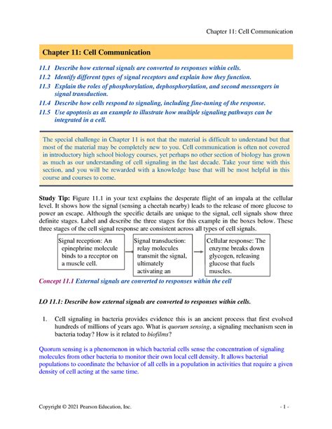Cell Chapter Guide 11 Reading Answers Communication
