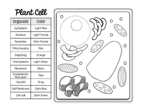 Happy Thanksgiving Coloring Pages Printable