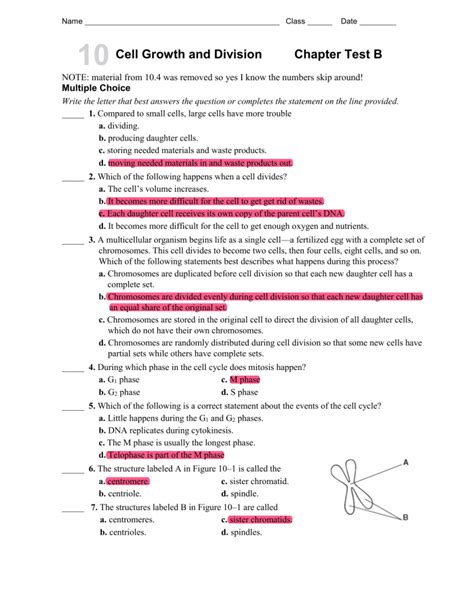 Cell Growth Division Test Answers