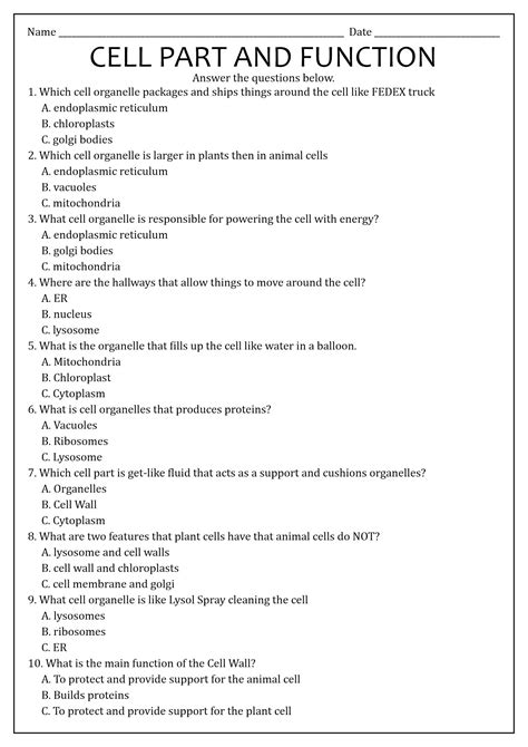 Cell Organelles And Their Functions Quiz - ProProfs Quiz