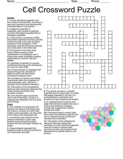 Cell Organelles Structure and Function Crossword Puzzle WordMint