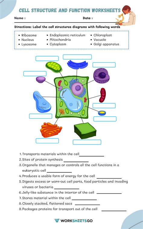 Cell Parts And Functions Worksheet Answers Worksheets Samples