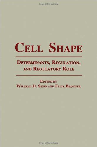 Cell Shape Determinants Regulation And Regulatory Role