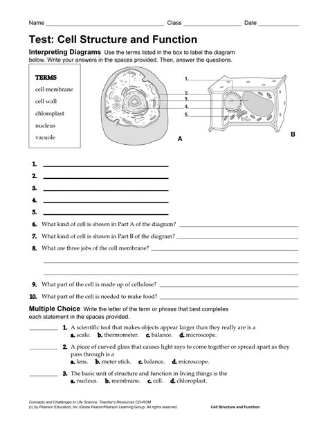 Cell Structure And Function Worksheet Answers Chapter 3 —