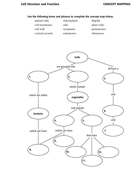 Cell Structure Concept Mapping Answer Key