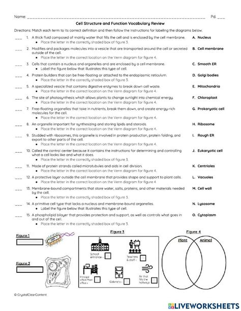 Cell Structure Function Vocabulary Review Answer
