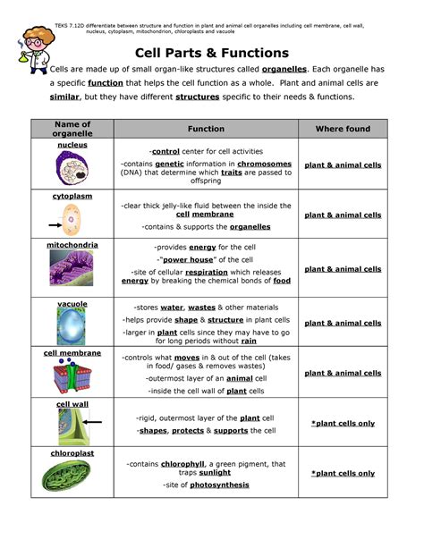 Cell Structure and Function Cheat Sheet by http//www