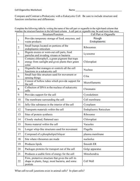 Cell Structure and Function Worksheet Cell Organelles