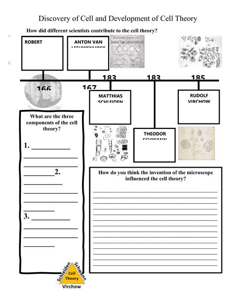 Cell Theory Timeline And Worksheet Answer Key Worksheet Resume Examples
