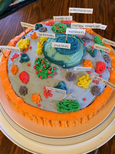 Cell cake project. Cell Project. Learning Target: Students will create a model of a cell, labeling each part, and designing a key with the definition/function of each part. Your assignment is to create a fantastic, colorful, and accurate model of a cell. It may be a poster, 3D model, edible, or any creative way you want that exhibits knowledge of cytological ... 