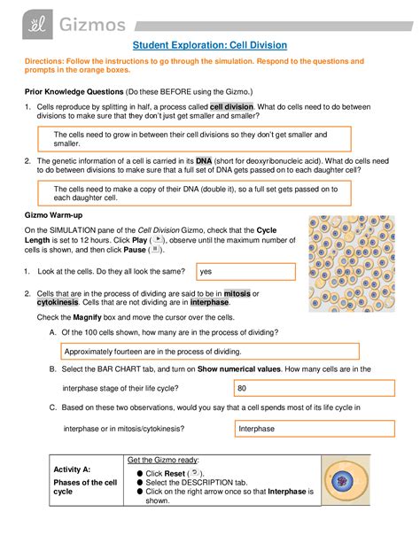 Cell division gizmo answers key. Name: Date: 10/28/ Student Exploration: Cell Division. Vocabulary: cell division, centriole, centromere, chromatid, chromatin, chromosome, cytokinesis, DNA, interphase, mitosis Prior Knowledge Questions (Do these BEFORE using the Gizmo.) Cells reproduce by splitting in half, a process called cell division.What do cells need to do between divisions to make … 