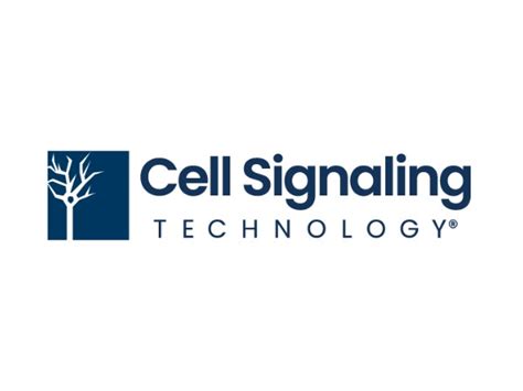 Cell signaling tech. Things To Know About Cell signaling tech. 