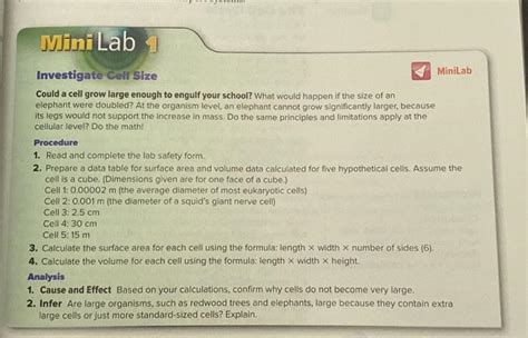 Cell size minilab - MiniLab Could a cell grow large enough...