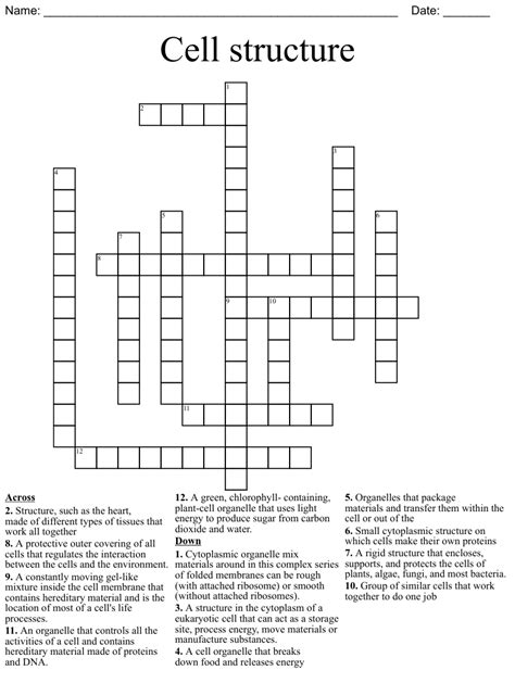 Cell structure Crossword WordMint