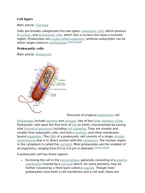 Cell types pdf