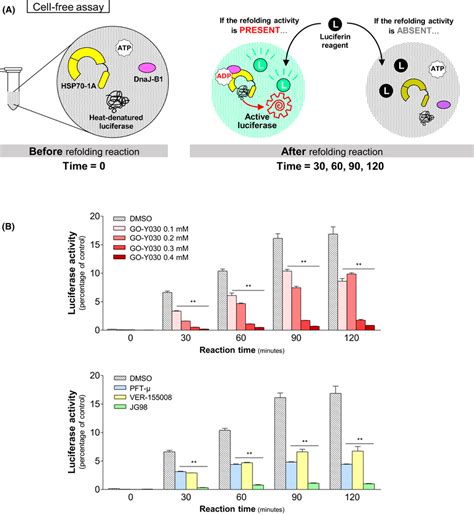 Cell-Free Assays SpringerLink