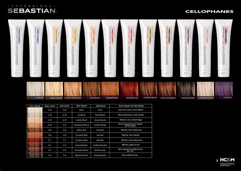 Cellophane Hair Coloring