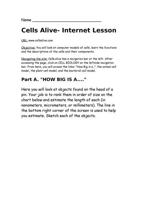 Cells Alive Internet Lesson Answers