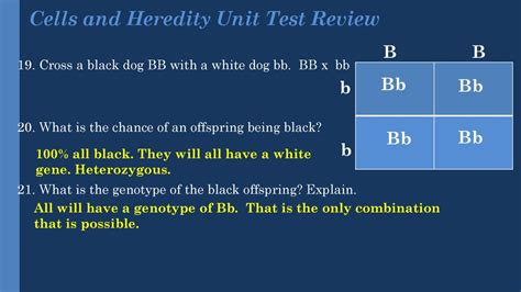 Cells And Heredity Test