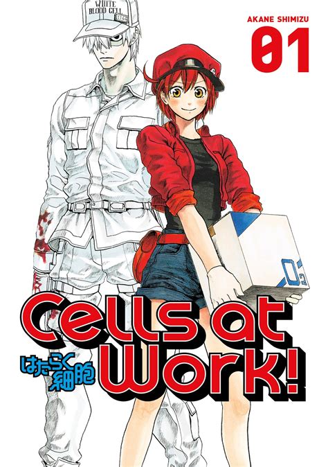 Cells at work. May 17, 2019 ... Cells at Work!, the highly acclaimed, educational action comedy of 2018, is coming to Blu-ray with a brand new English dub including a ... 