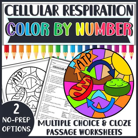 Cellular Respiration Coloring Workshee
