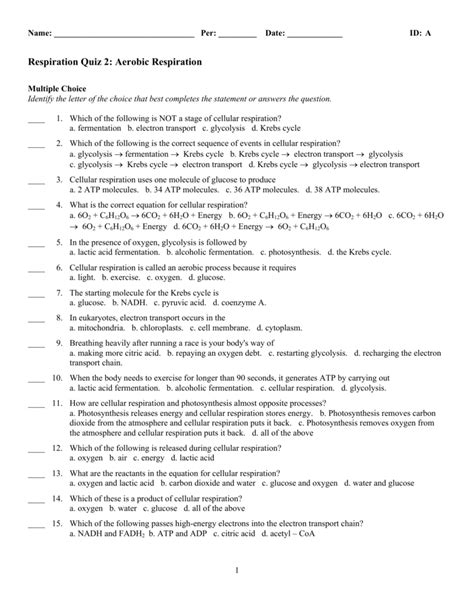 Cellular Respiration Test Bio Answers Questions