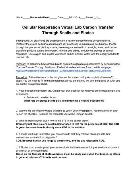 Cellular Respiration Virtual Answer Lab Key