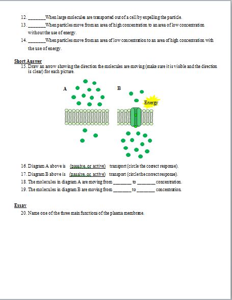 Cellular Transporting Test, Review Questions, and Answer Keys