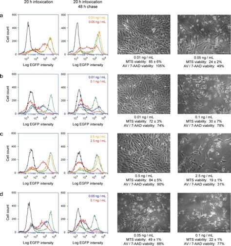 Cellular recovery from exposure to sub-optimal …