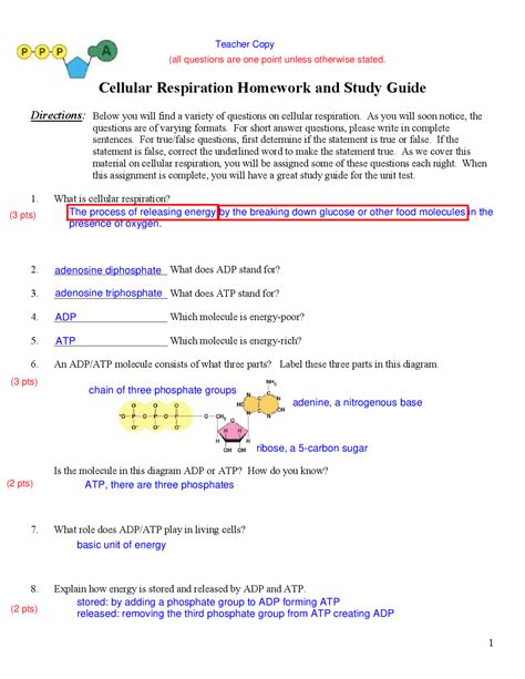 Cellular respiration guided reading answer key. - Download the cartoon guide to genetics updated edition.