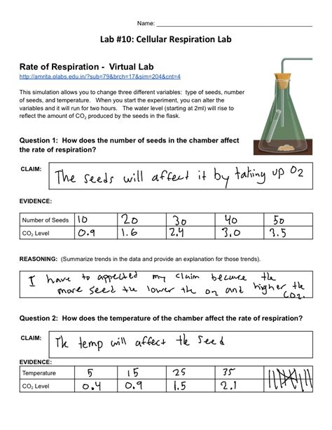 Cellular respiration virtual labs answer key. - How to change manual transmission fluid toyota pickup.