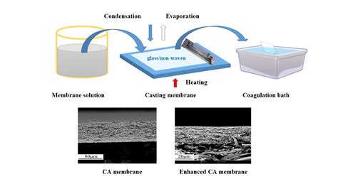 Cellulose acetate membrane preparation.  Cellulose acetate (CA) membrane...