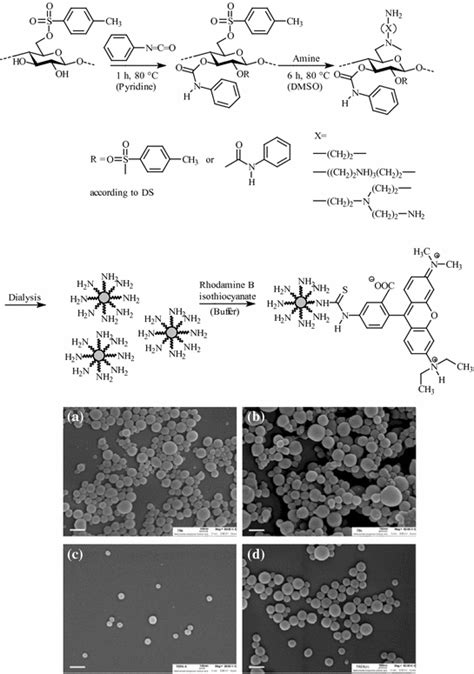 Celluloseesterlacke SpringerLink