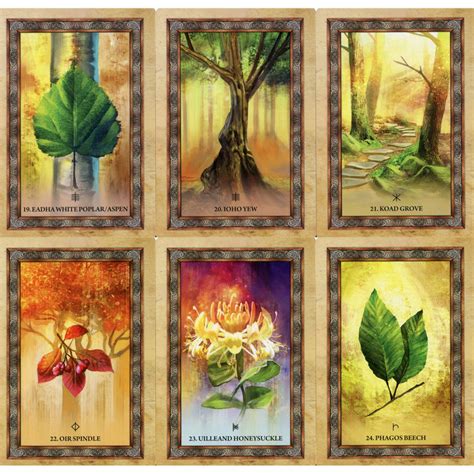 Read Celtic Tree Oracle By Sharlyn Hidalgo