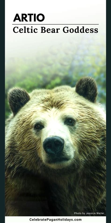 😈 Celtic_Bear Onlyfans Leaked [PPV] 72 Videos